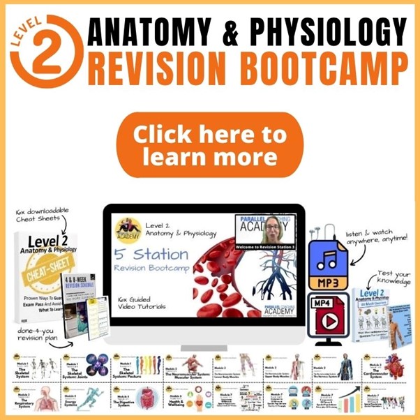 Level 2 Anatomy Revision Bootcamp - Parallel Coaching