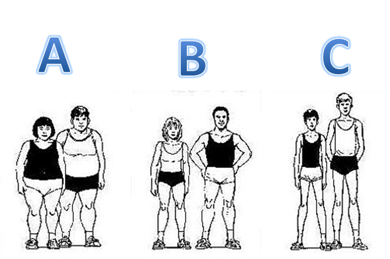 somatotype Level 2 Gym Instructor Mock Exam