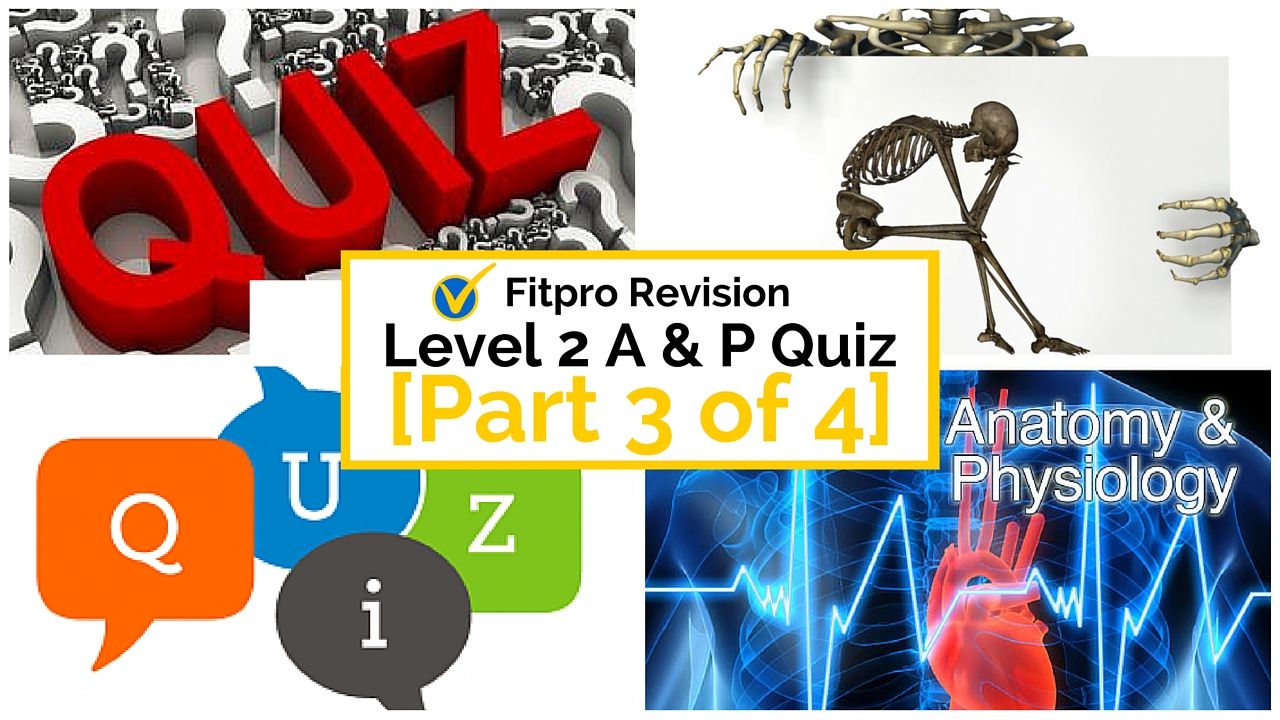Level 2 Anatomy and Physiology Revision Mock Paper: Part 3 of 4