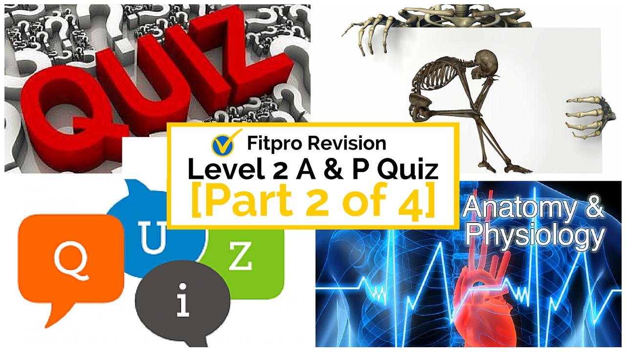 Level 2 Anatomy and Physiology Mock Paper: Part 2 of 4