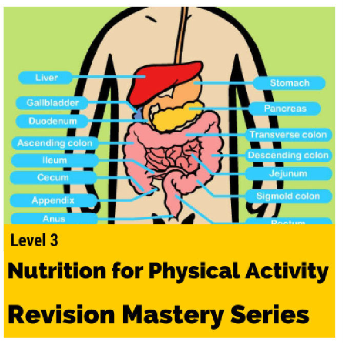 level 3 nutrition revision mastery series