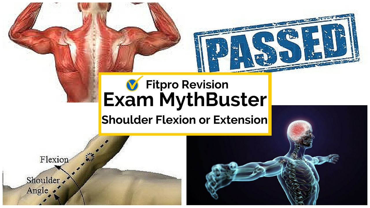 Exam Revision Mythbuster Shoulder Flexion or Extension