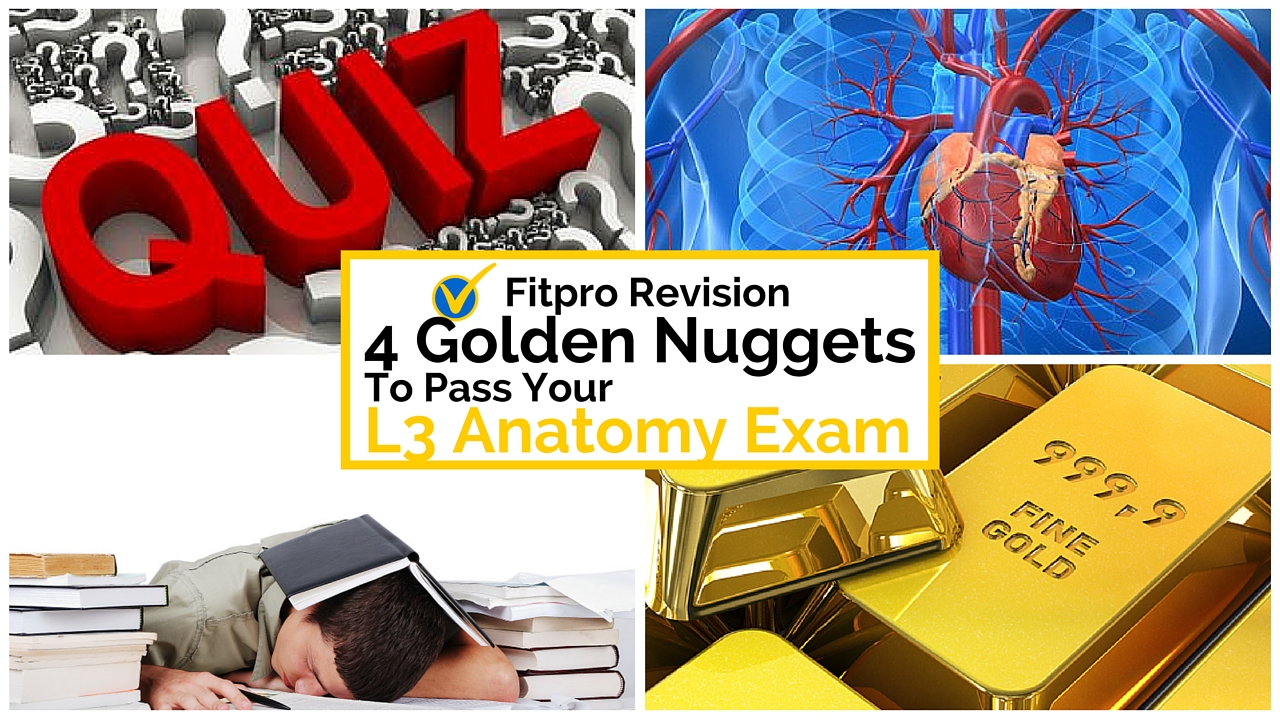 4 Golden Nuggets to Pass Your Level 3 Anatomy Exam