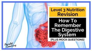 How to remember the digestive system - Level 3 Nutrition Revision