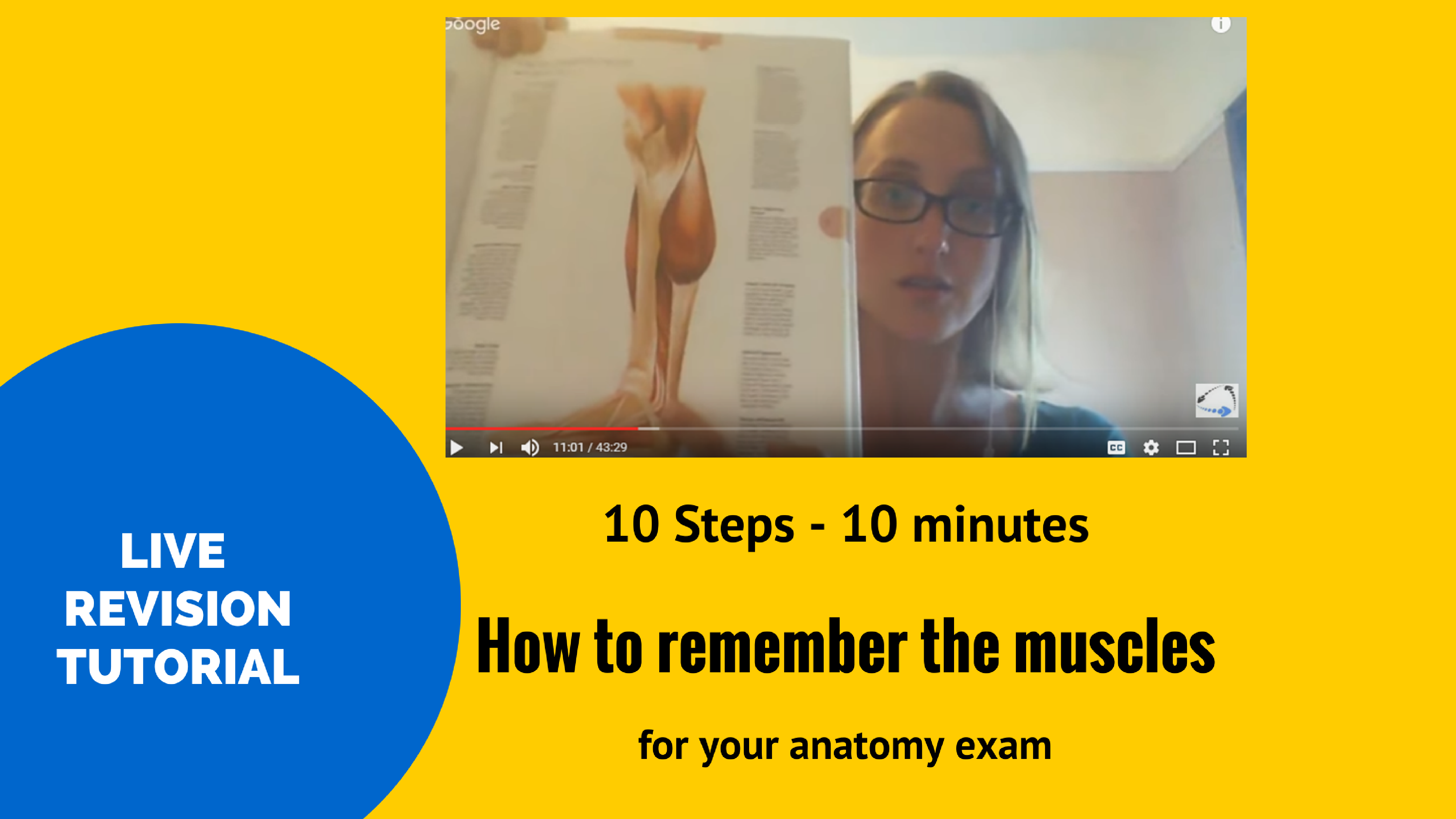 how to remember the muscles for your anatomy exam