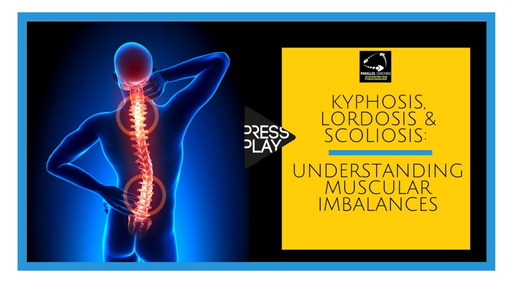 Kyphosis, Lordosis and Scoliosis - Understanding muscular imbalances