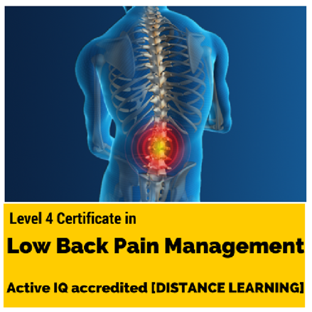 Level 4 Low Back Pain Yes