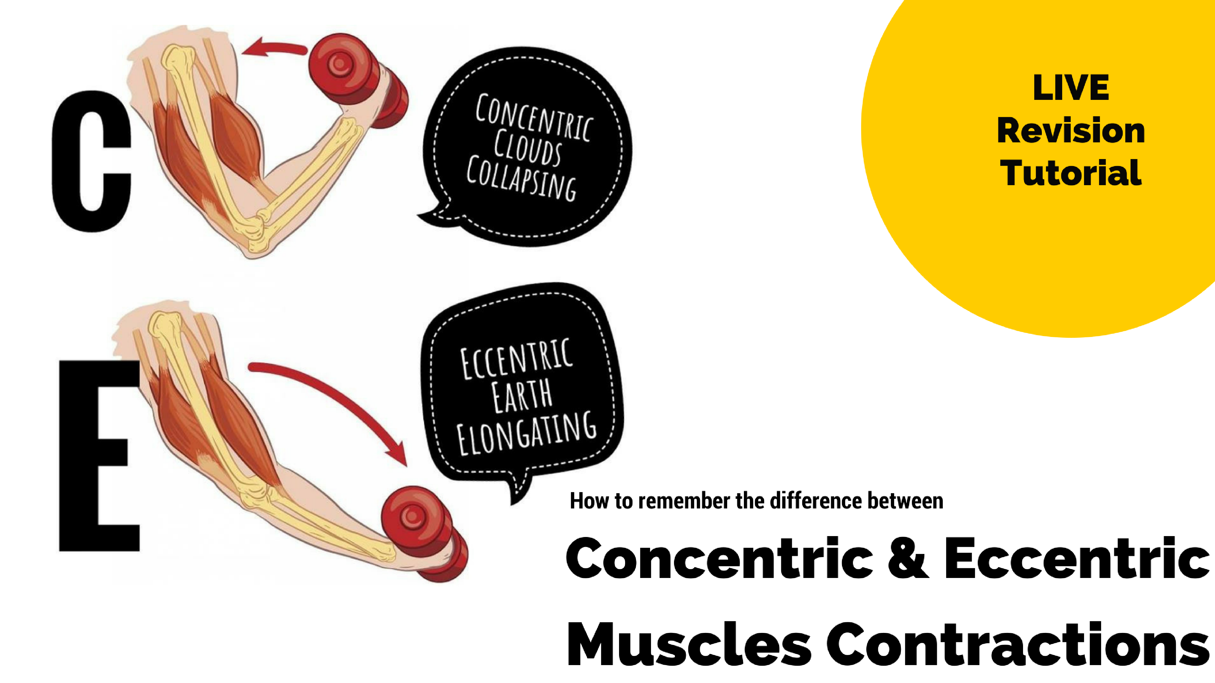 How to Remember Concentric and Eccentric Contractions