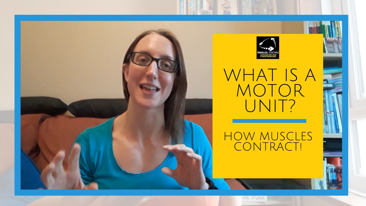 What is a motor unit - how muscles contract