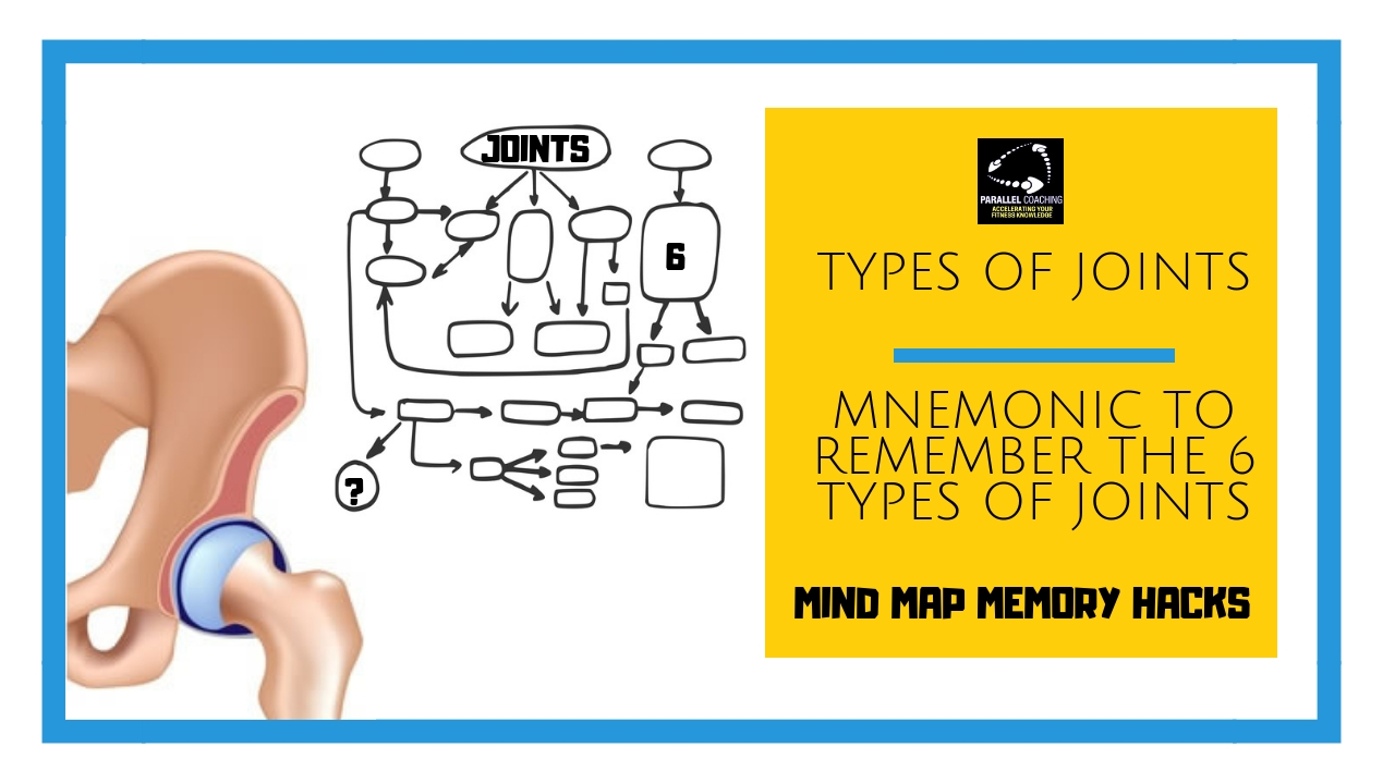 Types of Joints: Mnemonic to remember the 6 types of joints