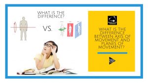 What is the difference between axis of movement and planes of movement