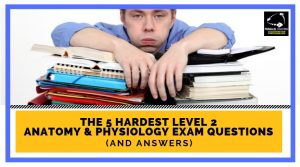 The 5 Hardest Level 2 Anatomy and Physiology Exam Questions
