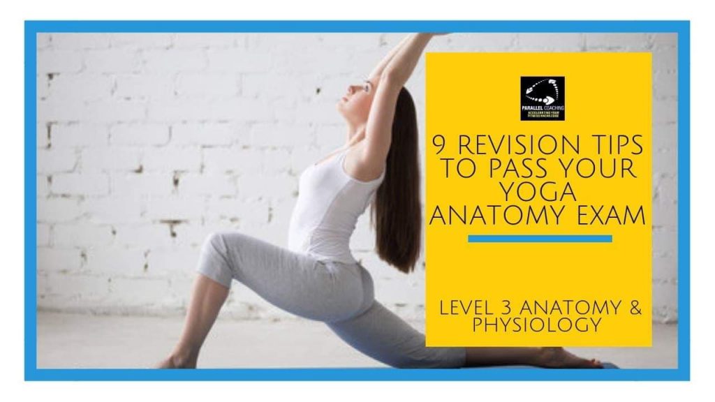 9 Revision Tips To Pass Your Yoga Anatomy Exam