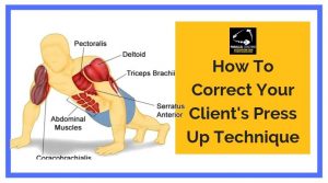 How to Correct a Clients Press Up Technique
