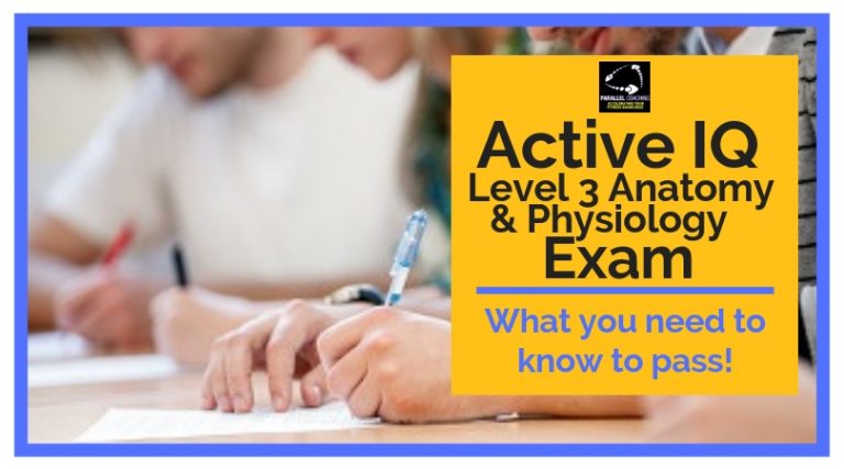 Active IQ Level 3 Anatomy and Physiology Exam What you need to know