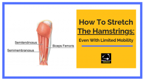 How to stretch the hamstrings even with limited mobility