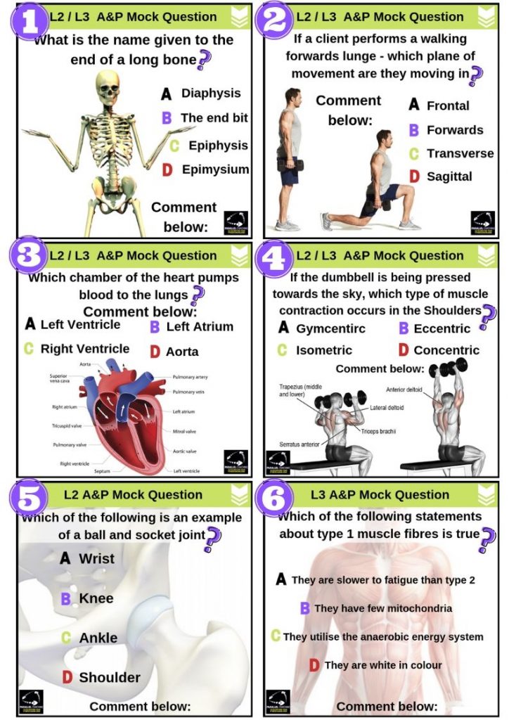 Anatomy And Physiology Mock Questions Test Your Knowledge