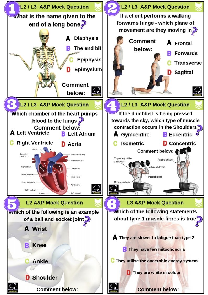 Anatomy and Physiology Mock Questions: Test Your Knowledge