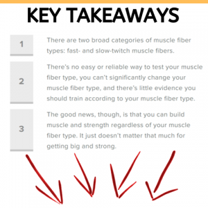 Why Can't I understand key muscle fibre types - key takeaways