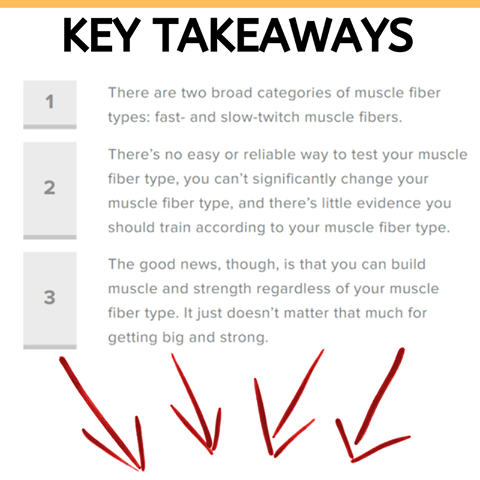 Why Can't I understand key muscle fibre types - key takeaways