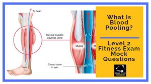What Is Blood Pooling - Level 2 Fitness Exam Mock Question