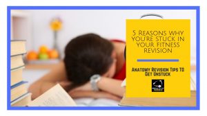 5 Reasons Youre Stuck In Your Fitness Revision