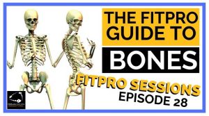 Episode 28 The FitPro Guide To Bones
