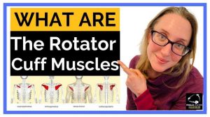 What are the rotator cuff muscles - parallel coaching news
