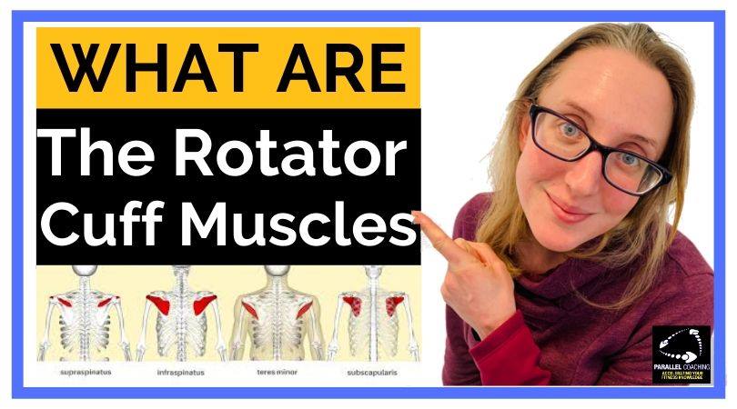 What are the rotator cuff muscles - parallel coaching news