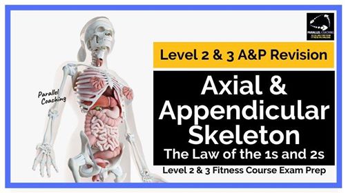 how many bones in axial and appendicular skeleton