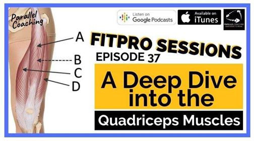 Episode 37 - A deep dive into the quadriceps muscles