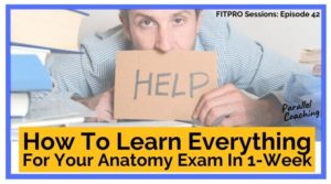 How to learn everything for your anatomy exam in one week