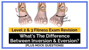 whats the difference between inversion and eversion