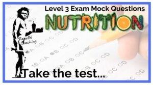 Level 3 Exam Mock Questions - Nutrition