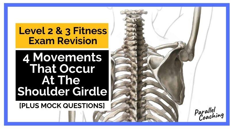 4 Movements That Occur At The Shoulder Girdle - Fitness Exam Revision