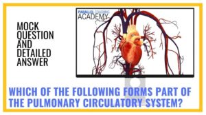 Which of the following forms part of the pulmonary circulatory system