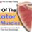Roles of The Rotator Cuff Muscles