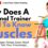 Why Does A Personal Trainer Need To Know Muscles?