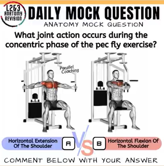 Mock Quesiton What Joint Action Occurs in The Concentric Phase of the Pec Fly Exercise - Parallel Coaching