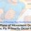 Mock Question Dissection – What Plane of Movement Does the Pec Fly Primarily Occur In
