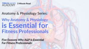 Why Anatomy & Physiology is Essential for Fitness Professionals