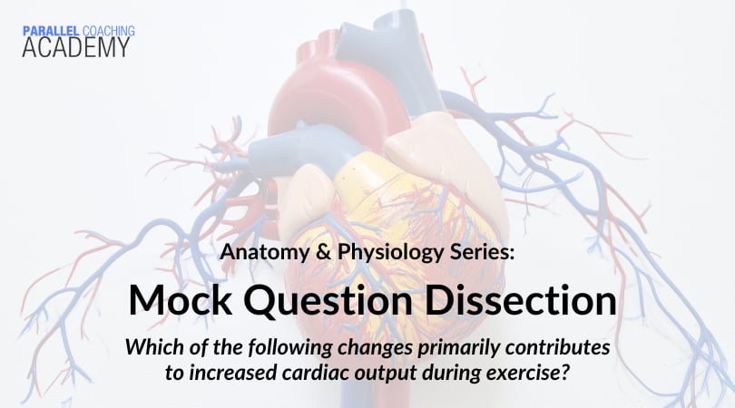Anatomy Mock Question Dissection – What is Cardiac Output?