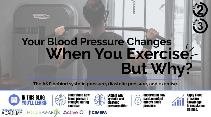 What Happens to Blood Pressure During Exercise Level 3 A&P