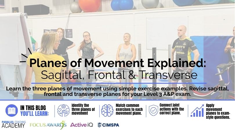 Planes of Movement Explained: Sagittal, Frontal & Transverse